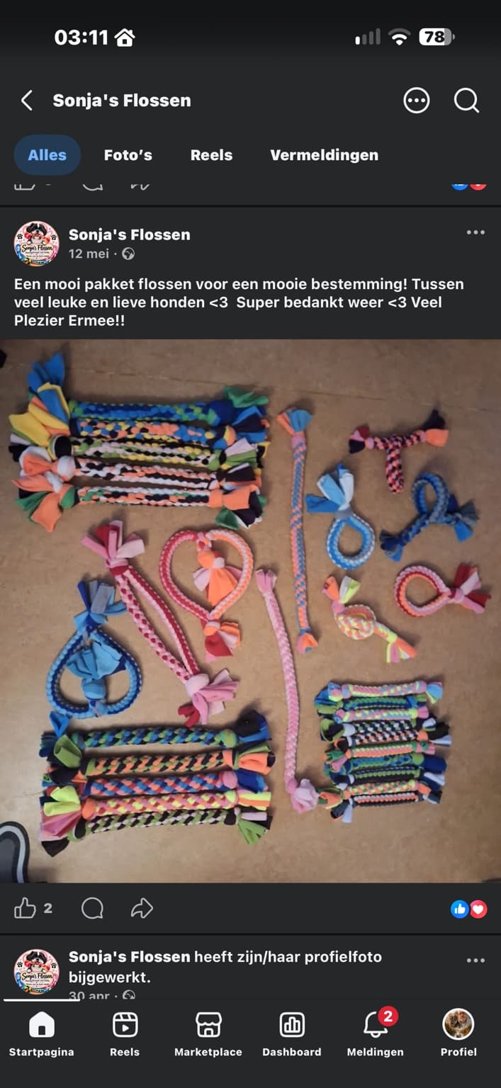 Sonja's Flossen - voorbeeld van het werk